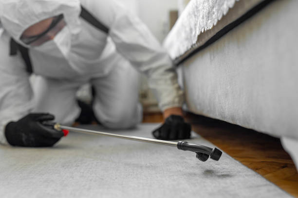 Professional Termite Control technician working in Nassau Bay, TX